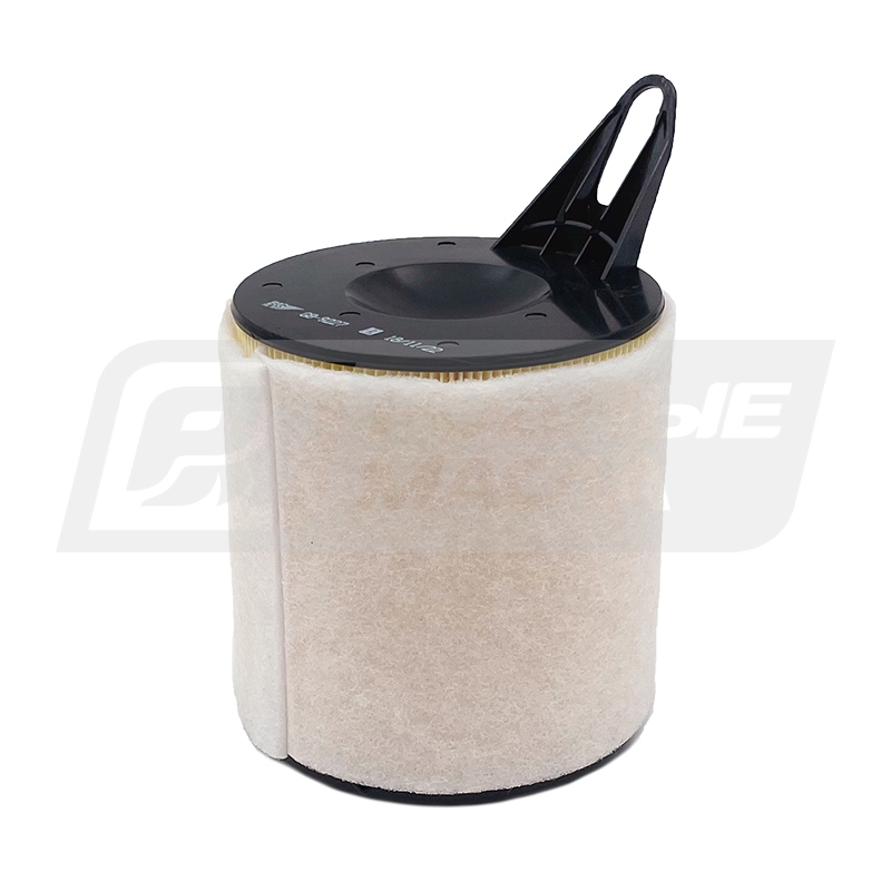 BIG FILTER GB-9227 GROUP (C1361, LX1651, AK362/4, BMW 13717532754) GB9227GROUP